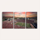 Indiana Memorial Stadium Wall Art Canvas Print, Framed