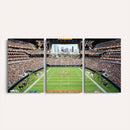 Chicago Bears Soldiers Field Wall Art Canvas Print – Framed