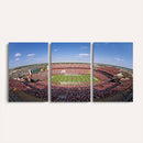 William Brice Stadium Wall Art Canvas Print – Stadium Crowd