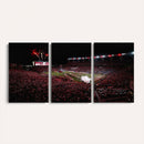 William Brice Stadium Wall Art Print – Baseball Game Room