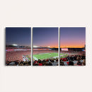 Dooley Stadium Wall Art, Sports Arena Canvas Print, Dooley