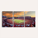 Dooley Stadium Wall Art, Sports Arena Canvas Print, Dooley
