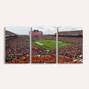 Jordan-Hare Stadium Wall Art Canvas Print, College Sports