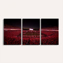 Sanford Stadium Wall Art Canvas Print – Georgia Bulldogs