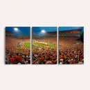 Clemson Tigers Memorial Stadium Wall Art Canvas Print