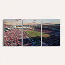 Donald W. Reynolds Razorback Stadium Wall Art Canvas Print –
