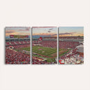 Donald W. Reynolds Razorback Stadium Wall Art Canvas Print –