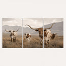 Rustic Texas Longhorn Cow Canvas Wall Art Print, Rustic Farm Animal Photography Print, Farmhouse Country Decor, Western Ranch Art