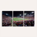 Washington-Grizzly Stadium Canvas Print, American Football
