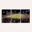 Washington-Grizzly Stadium Canvas Wall Art – Exciting Game