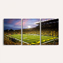 University of Oregon Ducks Football Team Print - Eugene