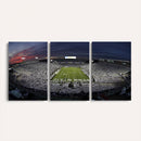 Penn State University Nittany Lions Football Team Print -