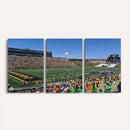 University of Missouri Tigers Football Team Print - Columbia