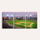 Chicago White Sox Baseball Team Print Canvas- Guaranteed