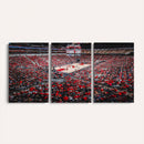 Louisville Cardinals Basketball Print Canvas - Louisville