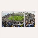 Boca Juniors Soccer Team Print Wall Art - Buenos Aires