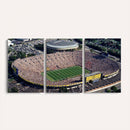 Michigan Wolverines Football Team Print - Ann Arbor Michigan