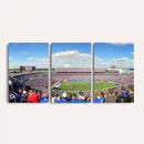 Buffalo Bills NFL Football Team Print - Buffalo Highmark