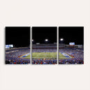 Buffalo Bills Wall Art - Buffalo Bills Stadium Canvas Print,