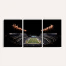 Eagles Field Stadium Wall Art | Philadelphia Eagles Football