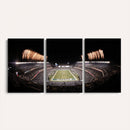 Eagles Field Stadium Wall Art - Lincoln Financial Field