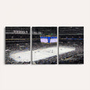 Enterprise Center Missouri St. Louis Blues Hockey Stadium