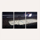 Honda Center California Anaheim Ducks Hockey Stadium Wall