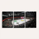 Vaudoise Lausanne Ice Hockey Arena Stadium Wall Art Canvas,