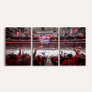 Carolina Hurricanes Ice Hockey Stadium Wall Art, Carolina