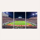 NC State Wolfpack Canvas Print - Raleigh Carter-Finley