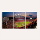 NC State Wolfpack Football Team Print - Raleigh