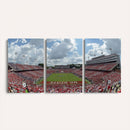 NC State Wolfpack Football Team Print Canvas- Raleigh