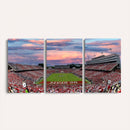 Carter-Finley Stadium Art Sunset Game Triple Canvas Wall Art