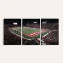 Houston Cougars Football Team Print - Houston TDECU Stadium