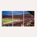 Wisconsin Badgers Football Team Print - Madison Camp Randall