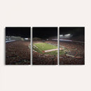 Wisconsin Badgers Football Team Print - Madison Camp Randall