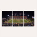 Demon Deacons Print Canvas, Football Team Print -