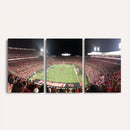 University of Louisville Cardinals Football Team Print -