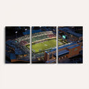 University of North Texas Mean Green Football Artwork,