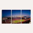 Wolfpack Football Team Wall Art Print - Raleigh