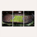 Florida Atlantic University Owls Football Team Print - Boca