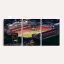 University of Illinois Fighting Illini Football Team Print -