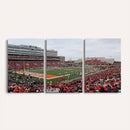 University of Illinois Fighting Illini Football Team Print -