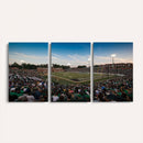 University of Charlotte 49ers Football Team Print -