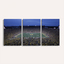 University of Michigan Wolverines Football Team Print - Ann