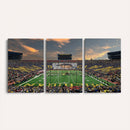 University of Michigan Wolverines Print Canvas, Football