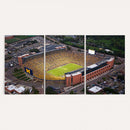 University of Michigan Wolverines Football Team Print - Ann