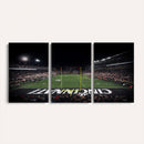 Cincinnati Bearcats Football Team Print - Nippert Stadium