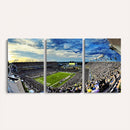Framed USF Bulls Football Team Print - Tampa Raymond James