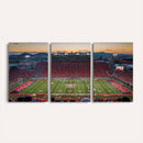 Arizona Wildcats Football Team Print - Tucson Arizona